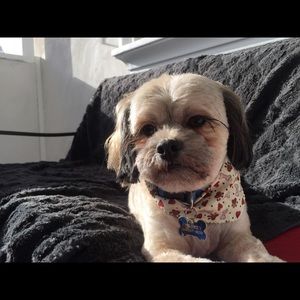 Meet your Posher, Bianca